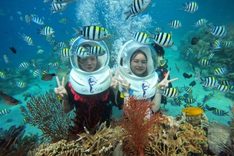 Tất tần tật A-Z Tour đảo Nha Trang 1 ngày 2 Tour đảo Nha Trang 1 ngày